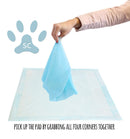 Select Companion Puppy Pee Pads with Scent Remover, 23 by 22 Inches - Pack of 100