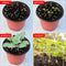 Akarden 100 Pcs 4.4” Plastic Nursery Pot/Pots, Plant Pots, Flower Plant Container Seed Starting Pot