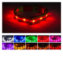 Blazin' Safety LED Dog Collar – USB Rechargeable with Water Resistant Flashing Light