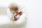 Snuggle Me Wool | Patented Sensory Lounger for Baby | Organic Cotton, Virgin lamb's Wool Fill