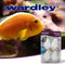 Wardley Fish Food and Accessories