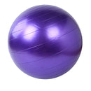 Home Exercise Workout Ball - Humble Ace