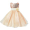 Girl's Party Princess Dress 5 colors - Humble Ace