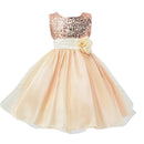 Girl's Party Princess Dress 5 colors - Humble Ace